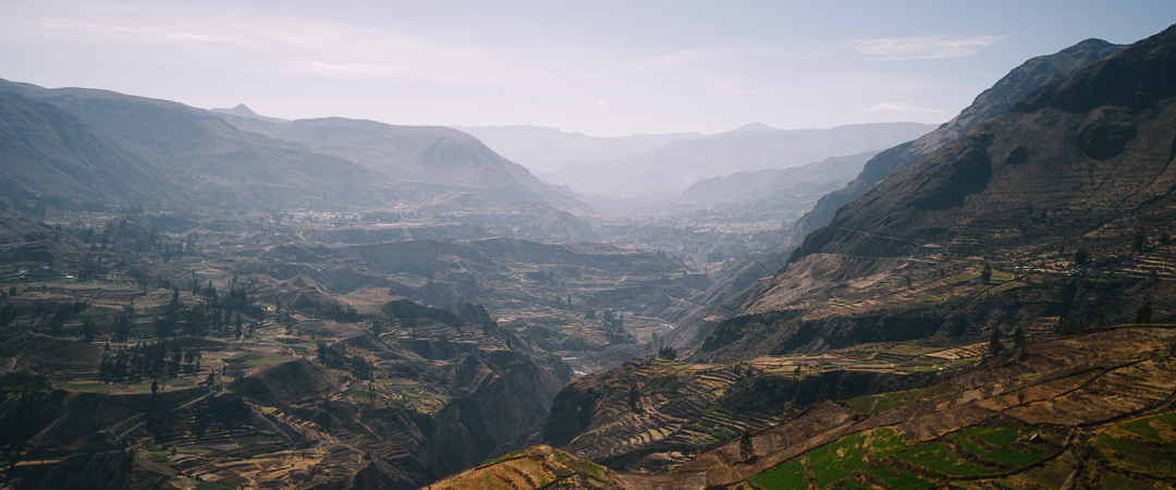 Terraces along Colca Canyon