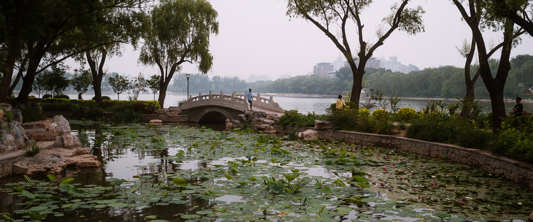 Yuyan pond with water lillies