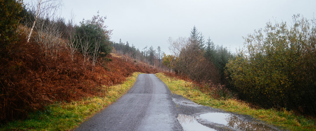 Road up Ring of Gullion