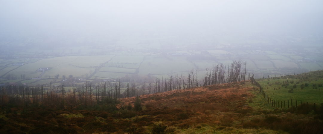 Too foggy for a view
