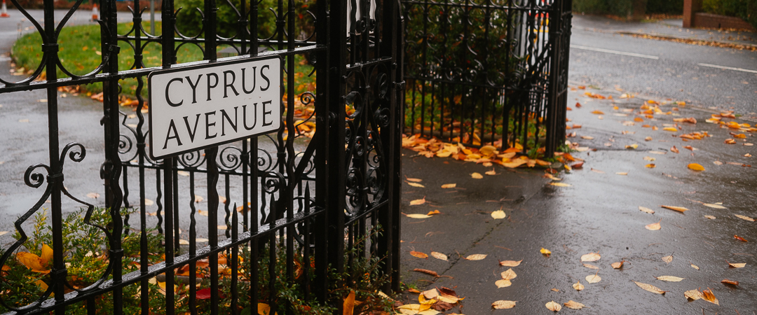 Cyprus Avenue sign