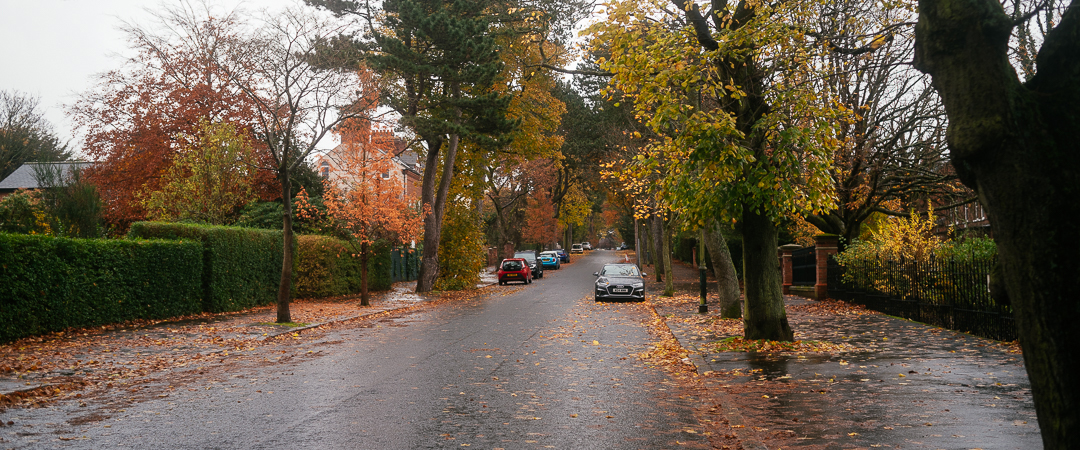Up on Cyprus Avenue