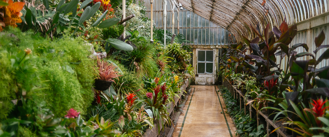 Inside the Botanic Gardens